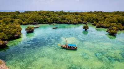 Eco-Tours image
