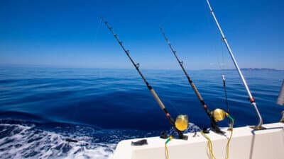 Fishing image