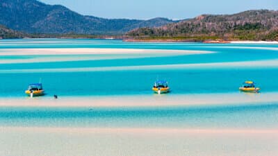 Sandbar Tours image
