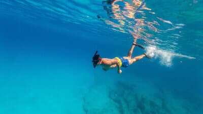Snorkeling & Diving Tours image