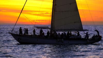Sunset & Dinner Cruises image